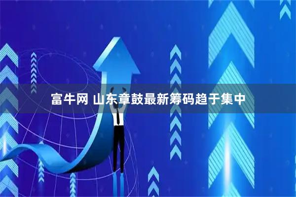 富牛网 山东章鼓最新筹码趋于集中