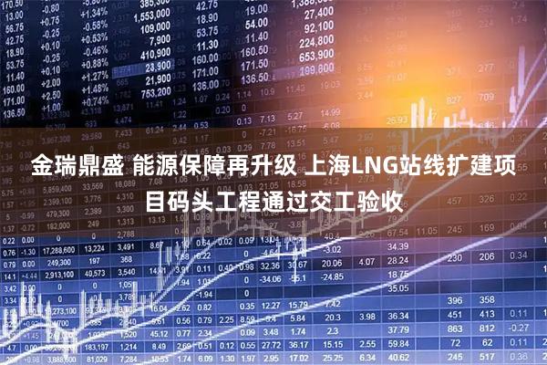 金瑞鼎盛 能源保障再升级 上海LNG站线扩建项目码头工程通过交工验收