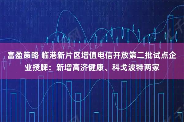 富盈策略 临港新片区增值电信开放第二批试点企业授牌：新增高济健康、科戈波特两家