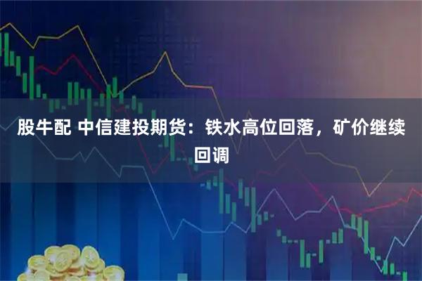 股牛配 中信建投期货：铁水高位回落，矿价继续回调