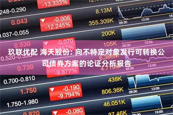 玖联优配 海天股份: 向不特定对象发行可转换公司债券方案的论证分析报告