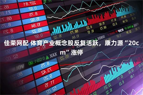佳荣网配 体育产业概念股反复活跃，康力源“20cm”涨停