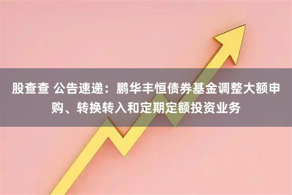 股查查 公告速递：鹏华丰恒债券基金调整大额申购、转换转入和定期定额投资业务