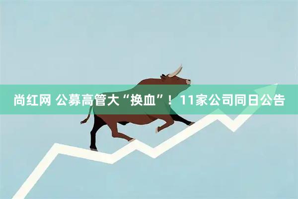 尚红网 公募高管大“换血”！11家公司同日公告
