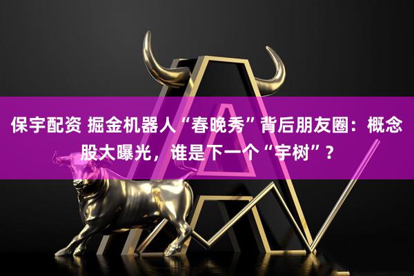 保宇配资 掘金机器人“春晚秀”背后朋友圈：概念股大曝光，谁是下一个“宇树”？