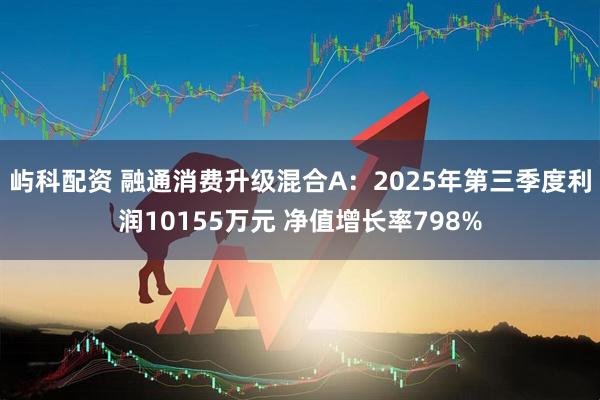 屿科配资 融通消费升级混合A：2025年第三季度利润10155万元 净值增长率798%