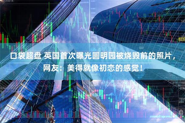 口袋超盘 英国首次曝光圆明园被烧毁前的照片，网友：美得就像初恋的感觉！