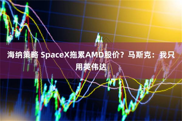 海纳策略 SpaceX拖累AMD股价？马斯克：我只用英伟达