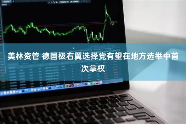 美林资管 德国极右翼选择党有望在地方选举中首次掌权
